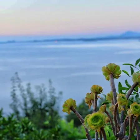 Vila Pergola